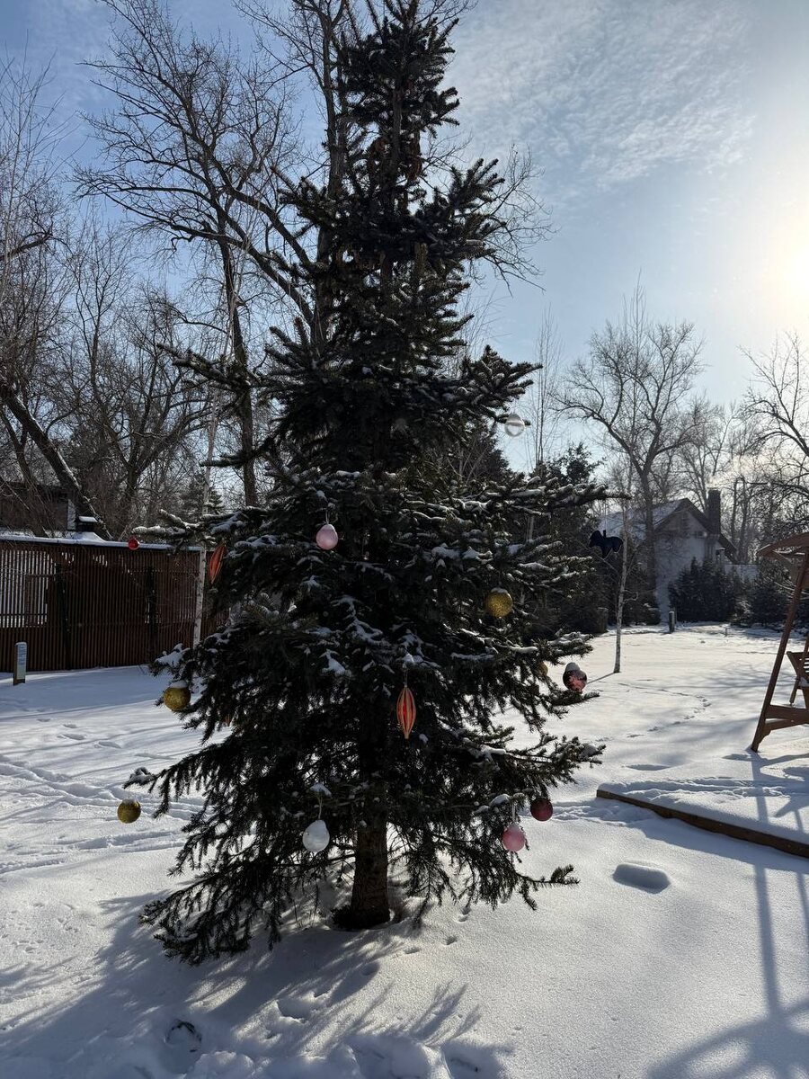 Природная красота