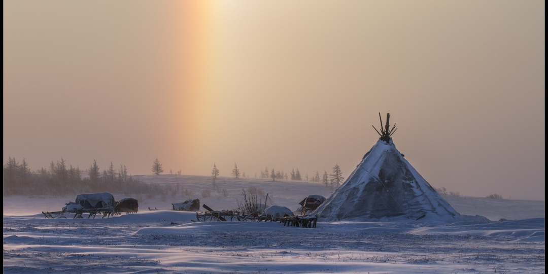 Строганина, нерпа и кровяные лепёшки: что едят на Крайнем Севере