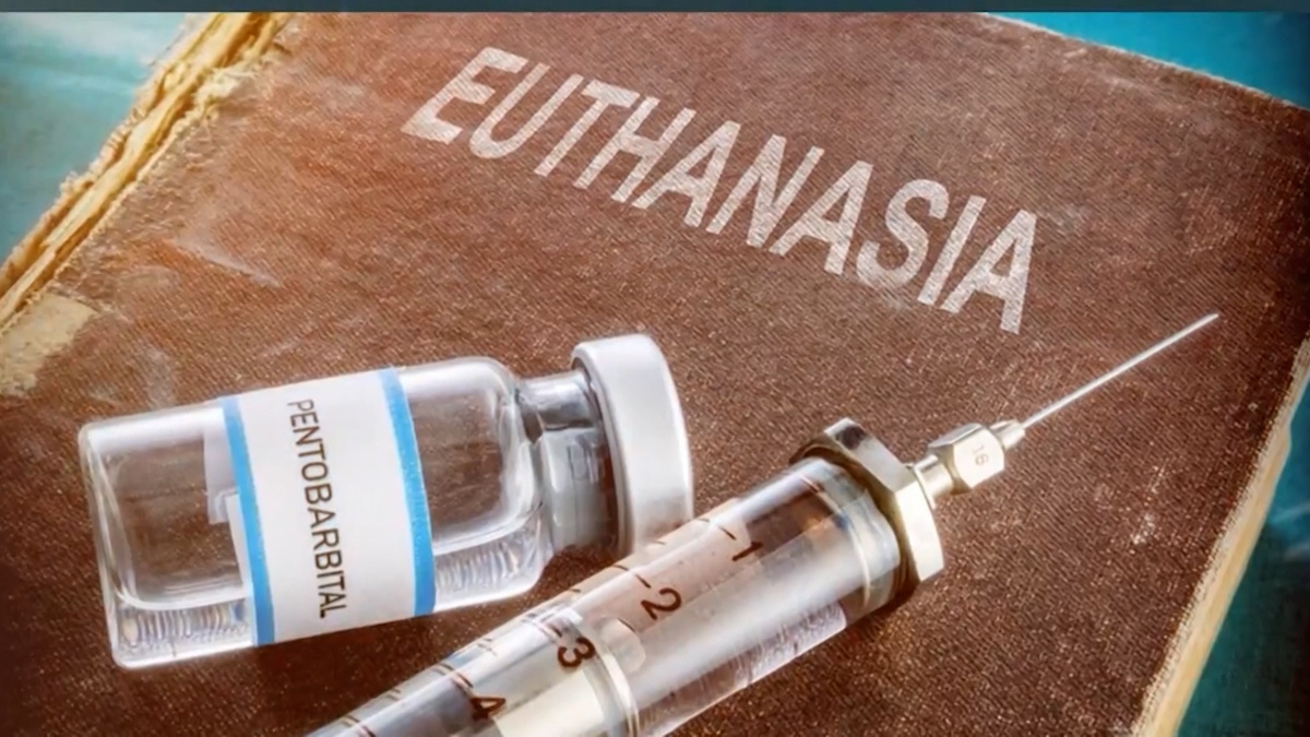    Кадр телеканала "Россия 24"