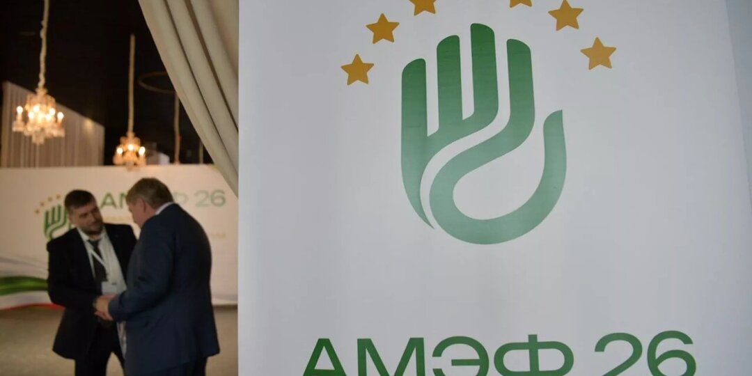 Sputnik недели: экономический форум, подарок от Путина, инспекции Гунба и Кириенко