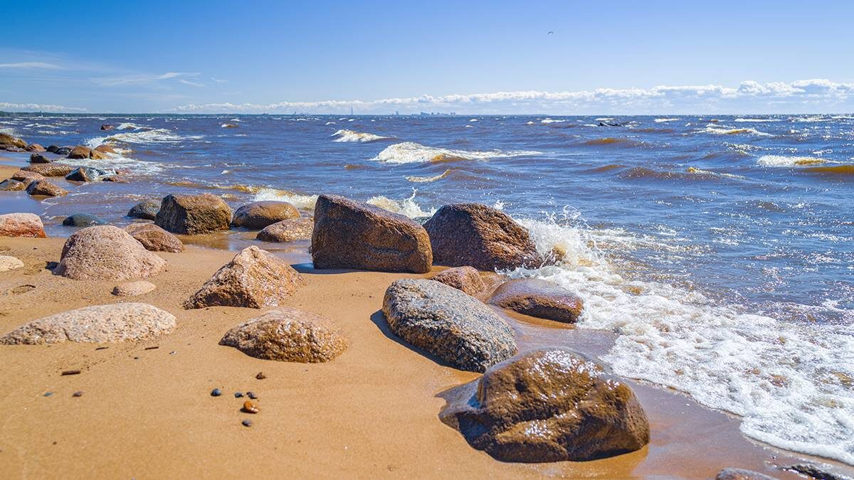    Фото: Shutterstock