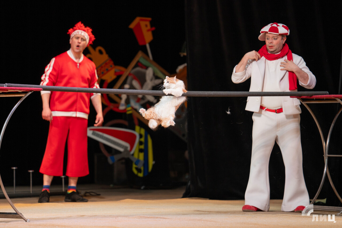    Фото: Луганский Информационный Центр/Полина Чибрик