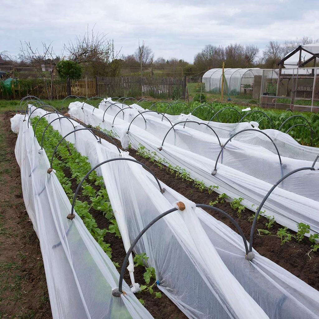 Укрытие рассады спанбондом на дугах — надёжный способ защиты от заморозков.