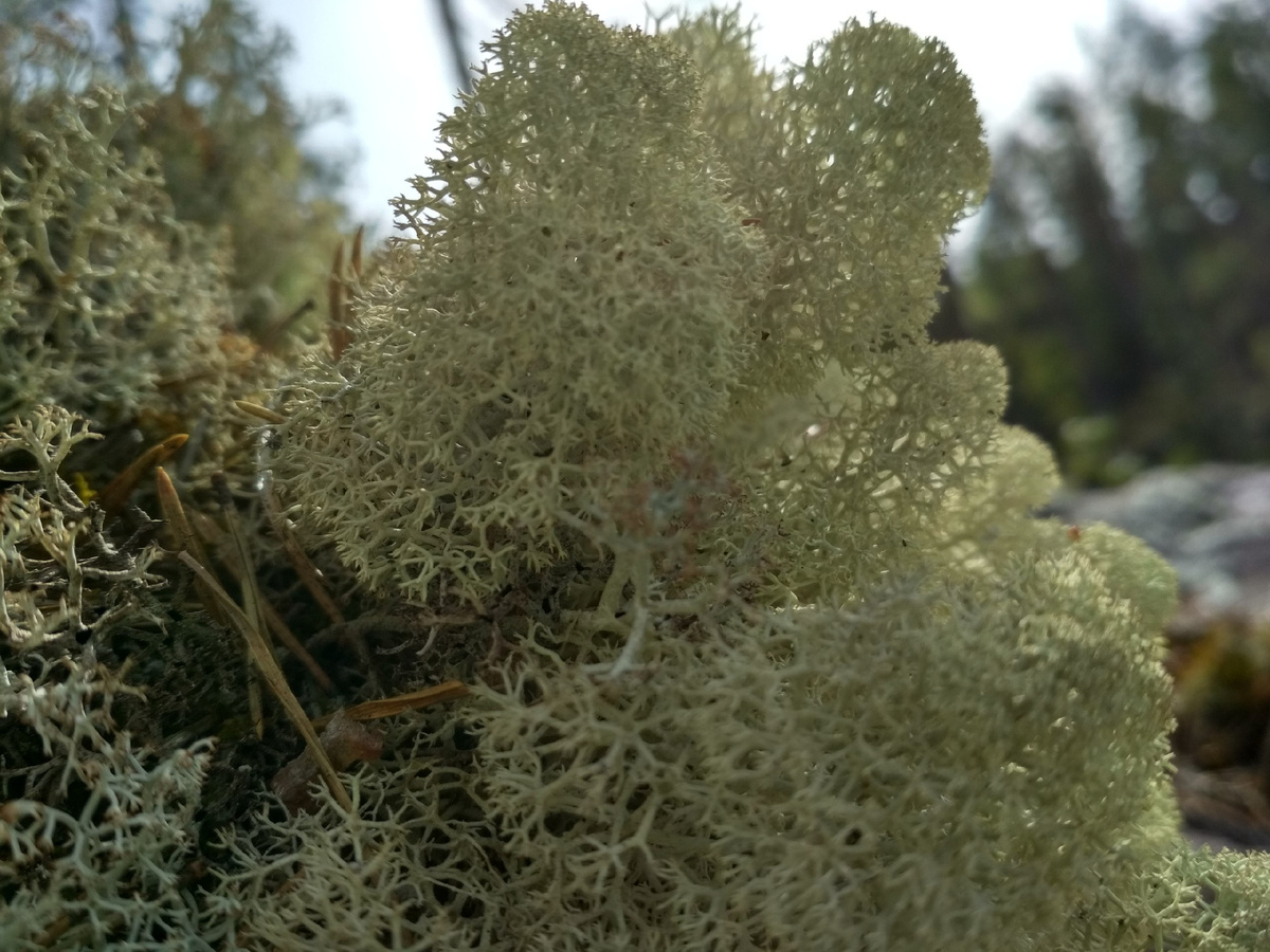 Фото - авторское право #di_vito