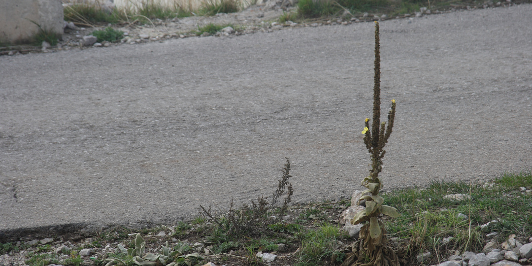 Метод отказа