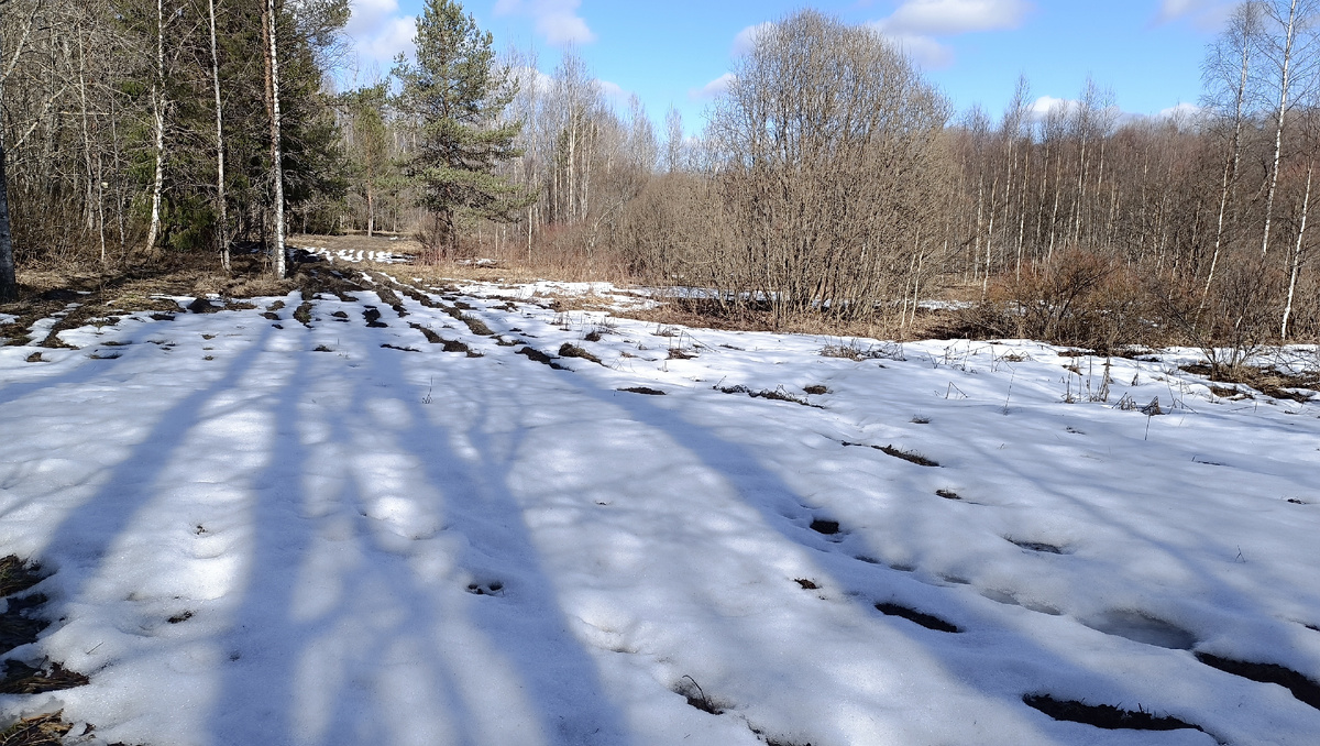 4 апреля 2026 года.