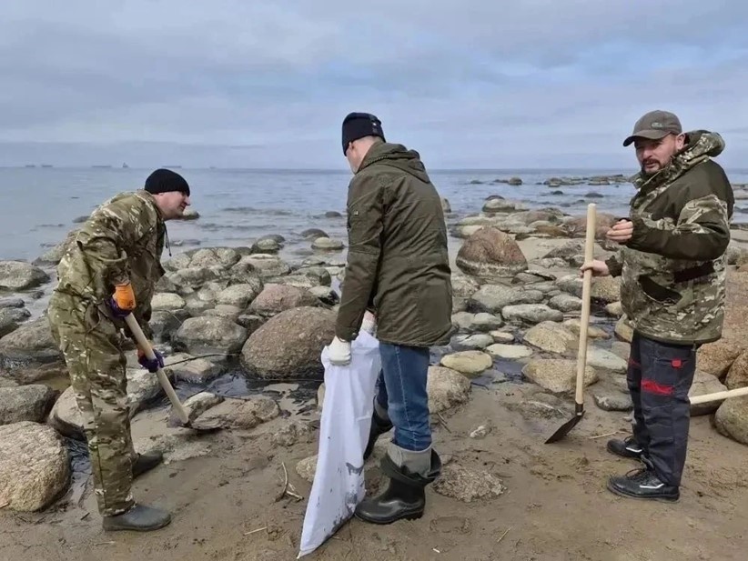    Автор фото: Пресс-служба правительства Ленобласти