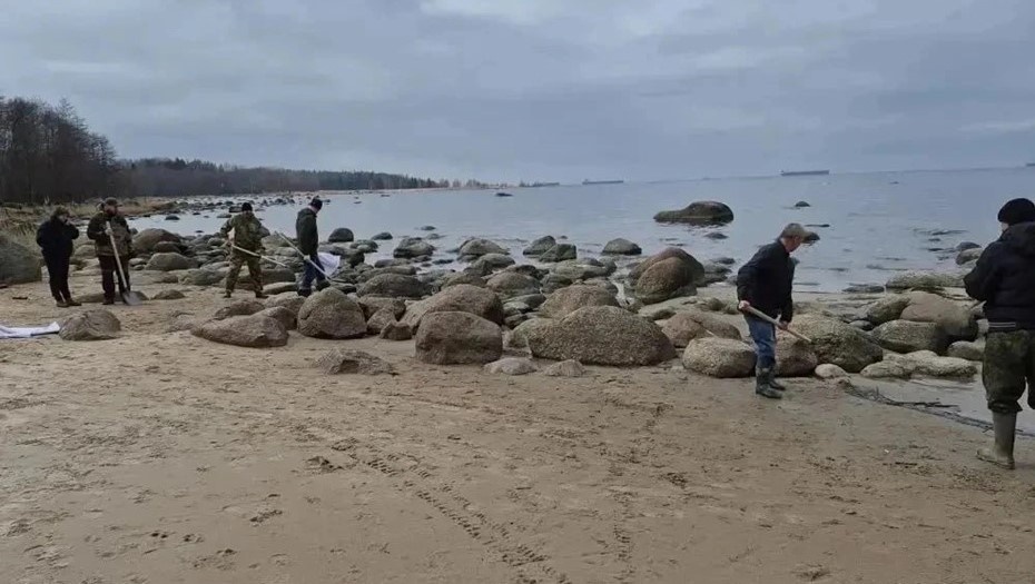    Автор фото: Пресс-служба правительства Ленобласти