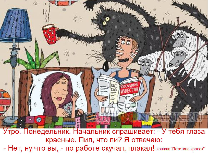 коллаж "Позитива красок", карикатура С. Белозерова