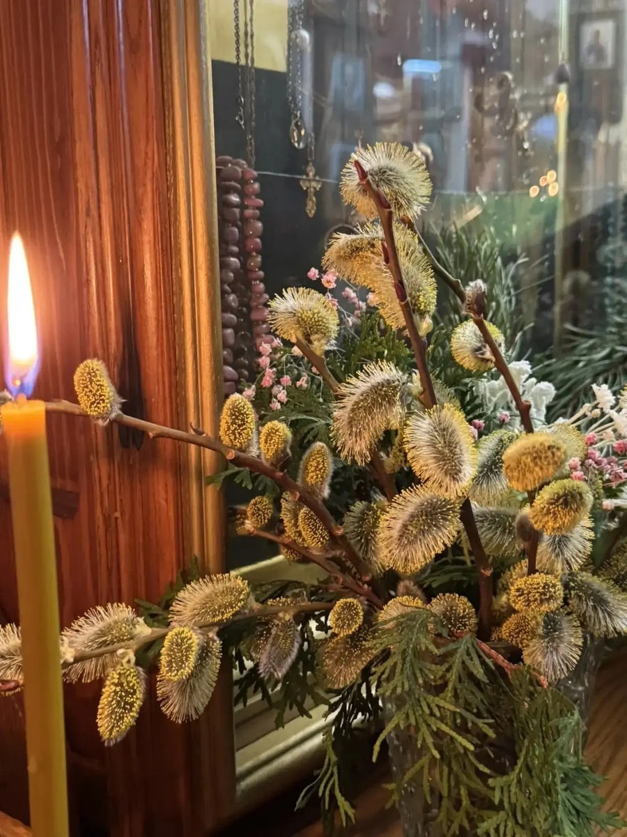 И сново фото от О. Н. 💐