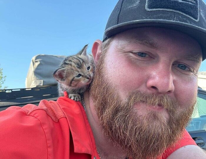 С улицы — в семью: 22 трогательных кадра о том, как «хвостики» обретают счастье