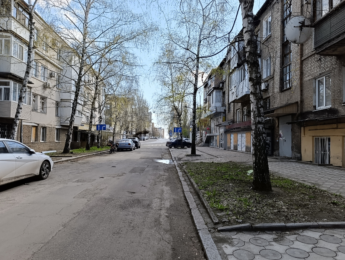 Берёзки в конце улицы Постышева.