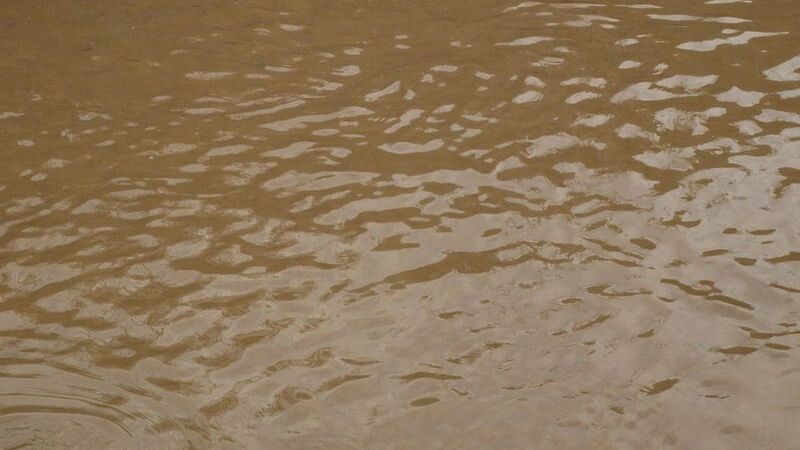    Фото: Claudio Divizia/Shutterstock/Fotodom