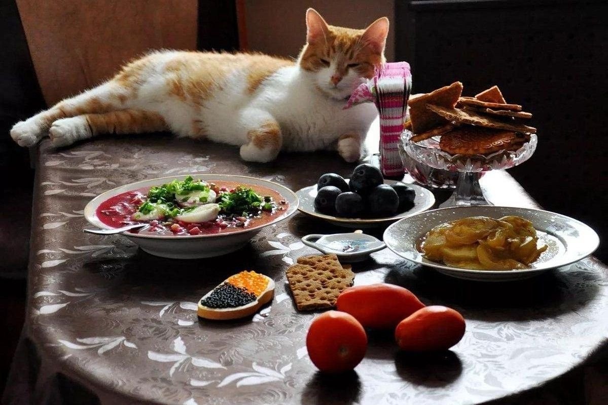 Источник: https://share.google/GOTE7TDBIyR8p6DsC