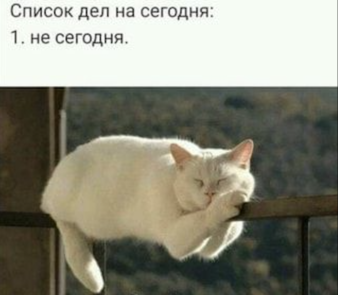 Источник: https://share.google/PCu86nkn6Ay0SBoK0