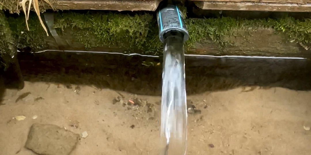 5 апреля 2026 год. Вербное Воскресение.