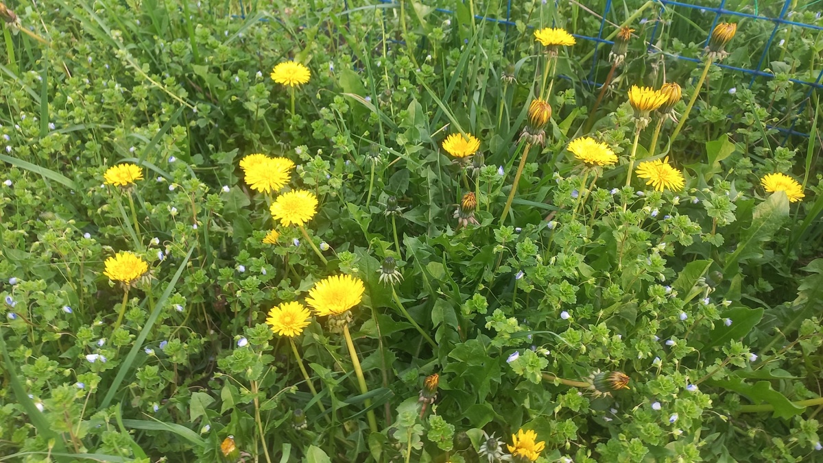 Все фото в статье сделаны автором и принадлежат ему на условиях авторского права ©