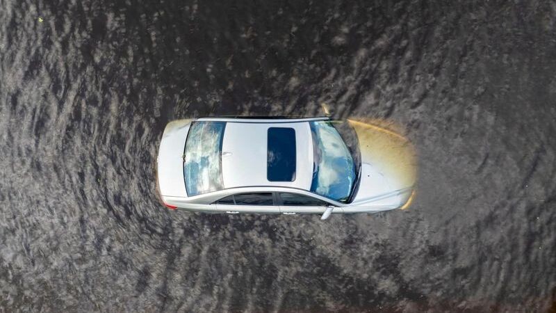    Фото: Bilanol/Shutterstock/Fotodom