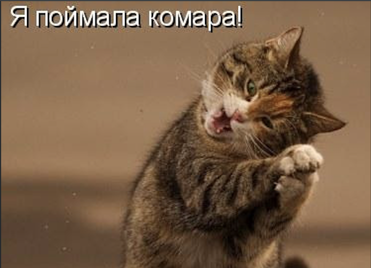 Источник: https://share.google/muXvCdplz0of66J9G