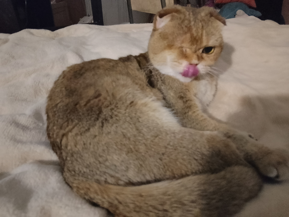 Смешная и милая Тося