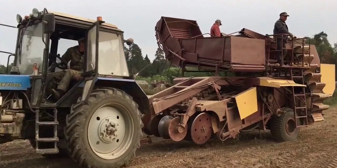 Воспитание специалиста