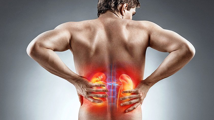 Как понять, что почки больны: ключевые симптомы и «тихие» звоночки