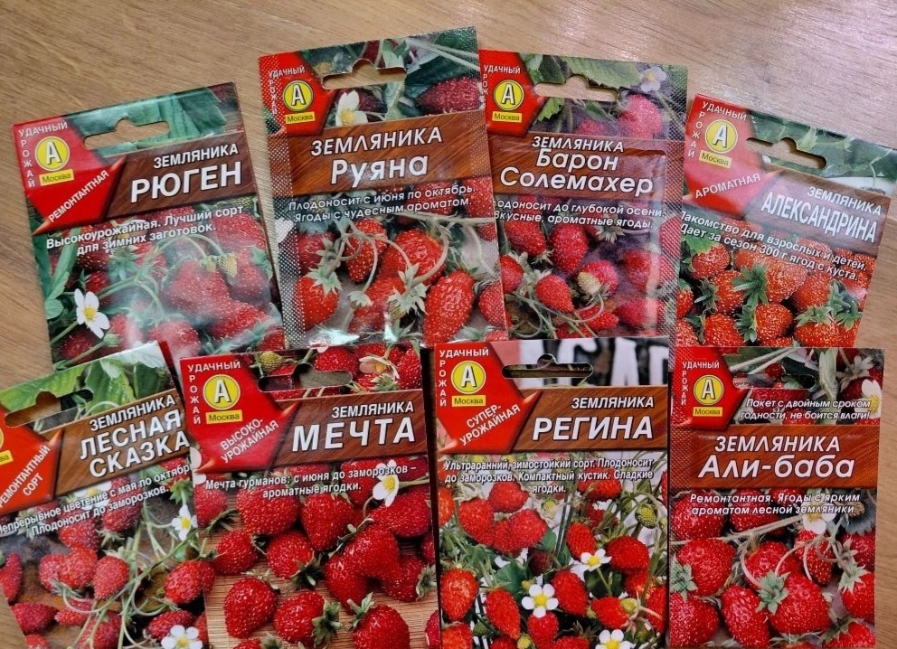 Семена ремонтантной садовой земляники