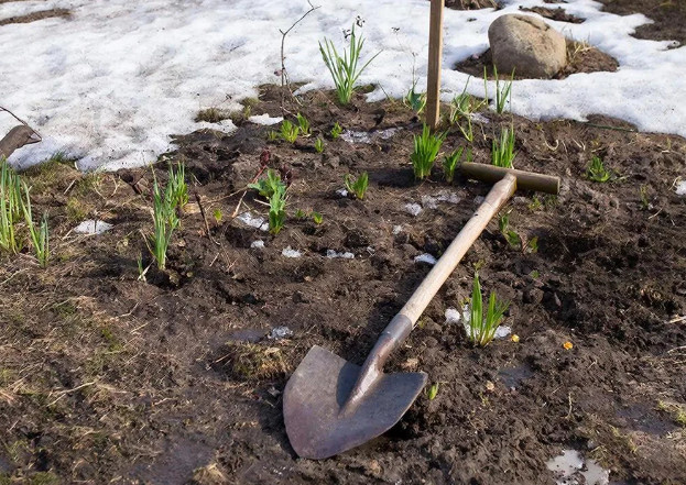 Совет «перекапывать клумбу после схода снега» оказался вредным — вот что я делаю теперь