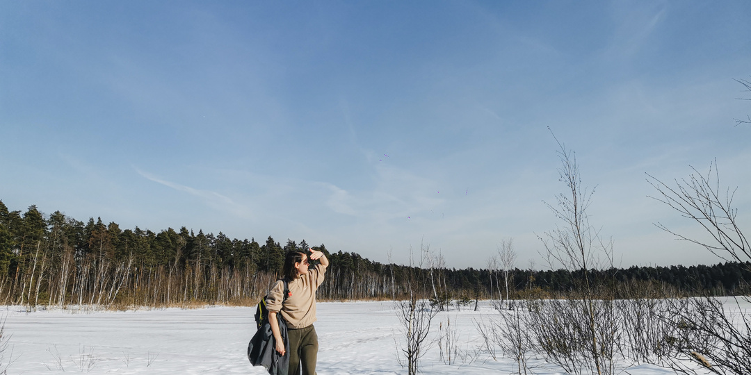 Мартовский поход под Балашихой