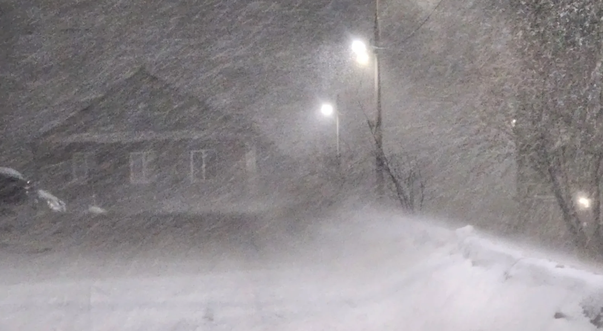 фото из открытых источников