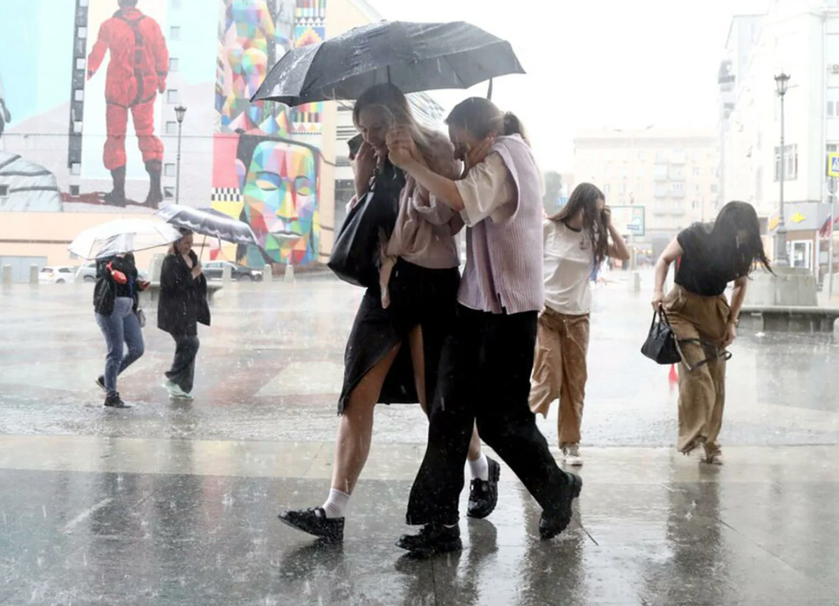 фото из открытых источников