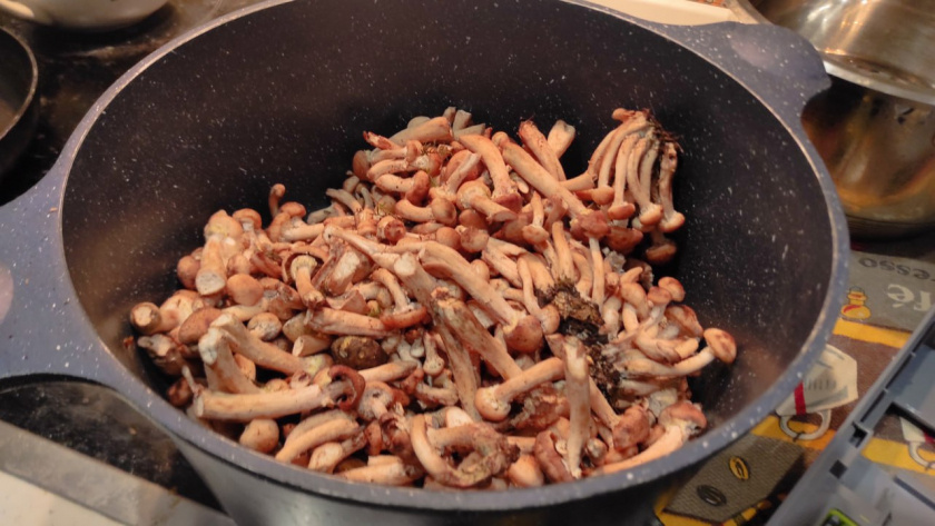    Первый городской канал Калининград