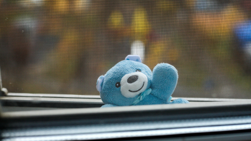    Фото: ИЗВЕСТИЯ/Юлия Майорова