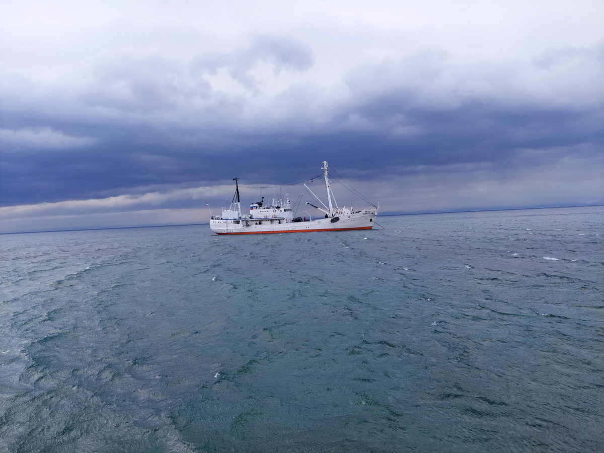 НИС "Г. Ю. Верещагин"/ Фото: Андрей Федотов  📷
