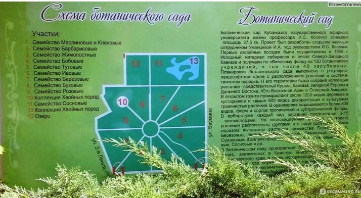 Схема сада