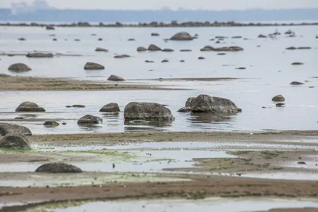    Источник: lenta.ru/ Иван Гаврилов