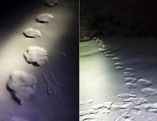 Цепочка следов неизвестного существа. (Фото: r4.mt.ru).