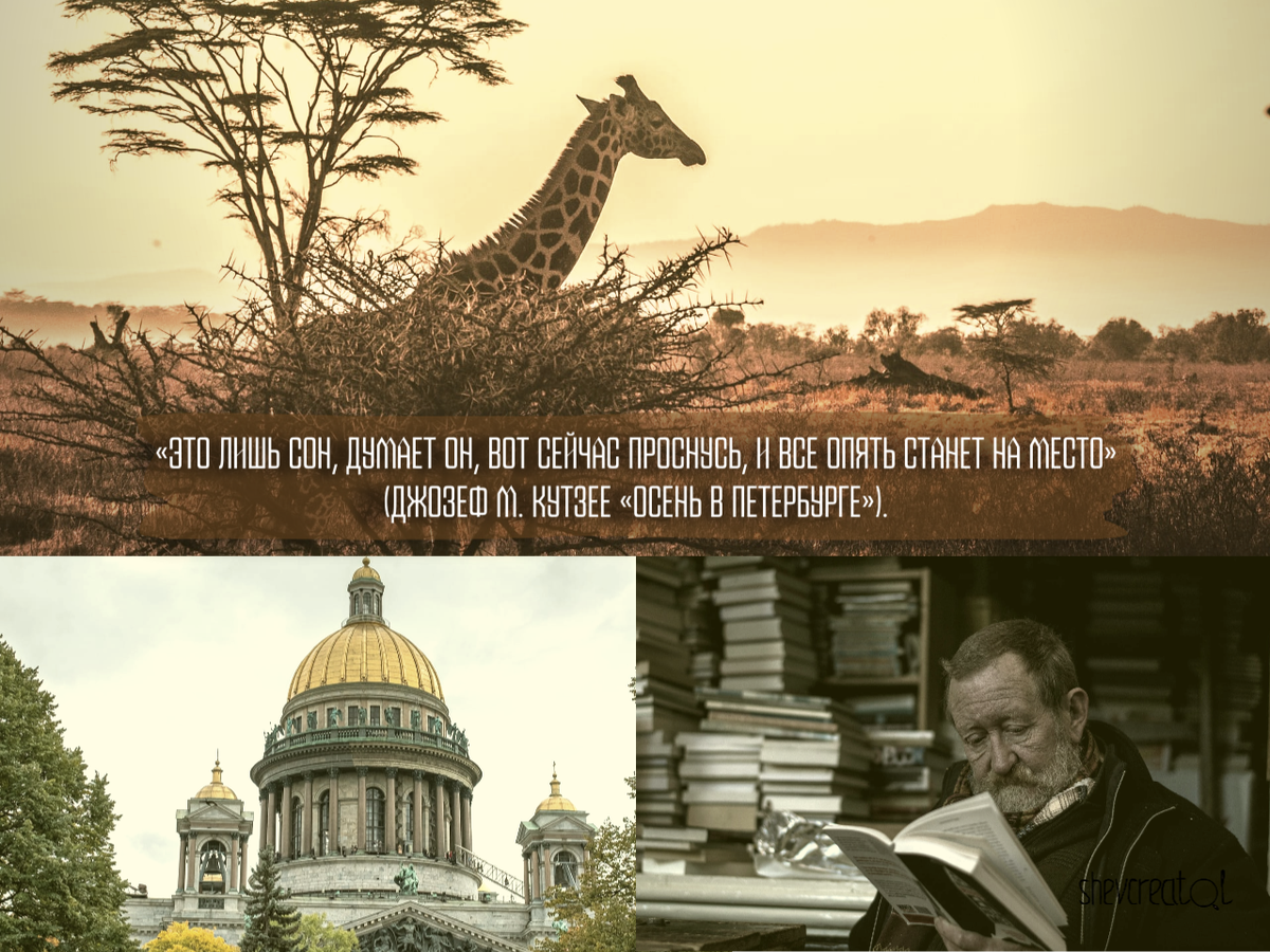 Коллаж автора. Создан в графическом редакторе SUPA.