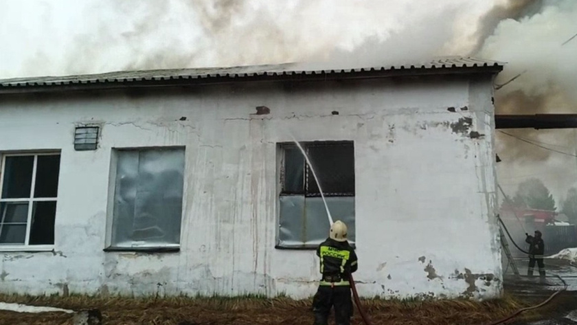    Фото МЧС по Коми