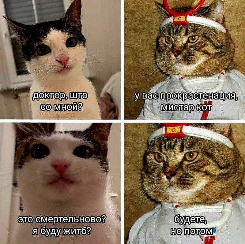 Источник фото найден на просторах Интернета в открытом доступе