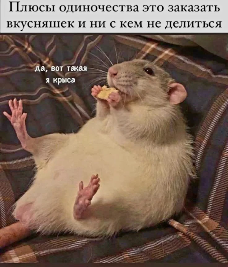 Источник фото найден на просторах Интернета в открытом доступе