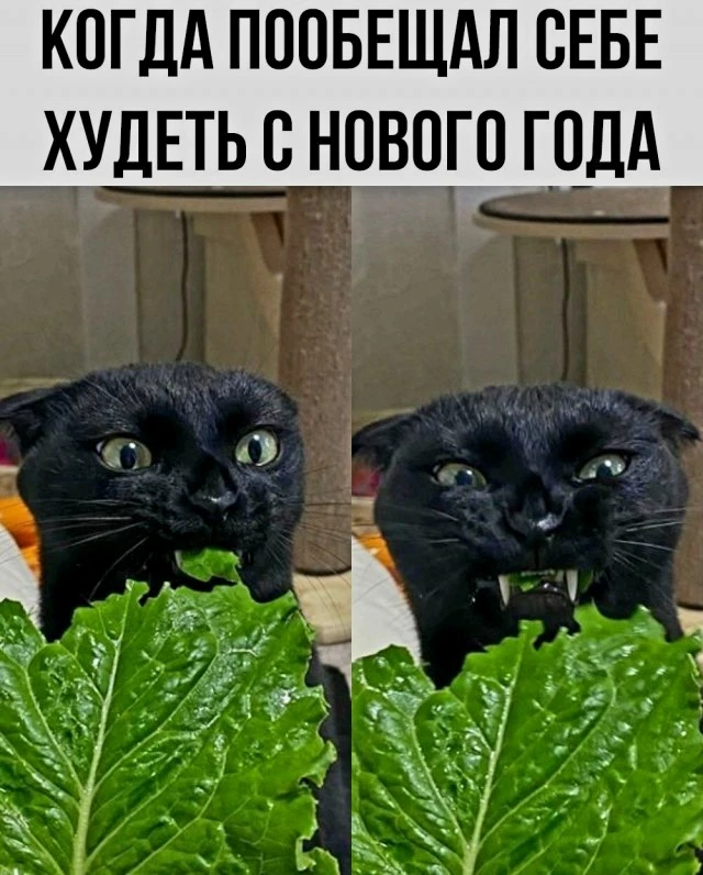 Источник фото найден на просторах Интернета в открытом доступе