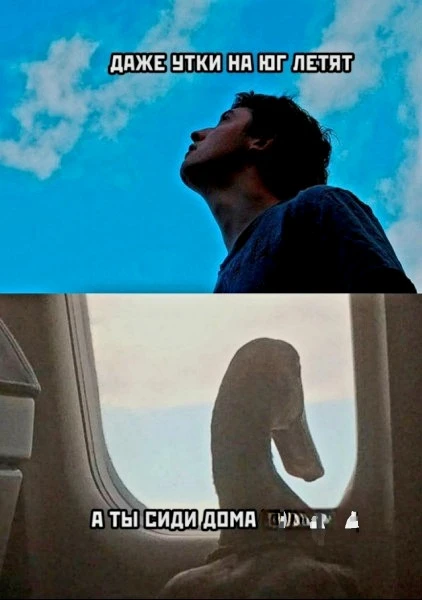 Источник фото найден на просторах Интернета в открытом доступе