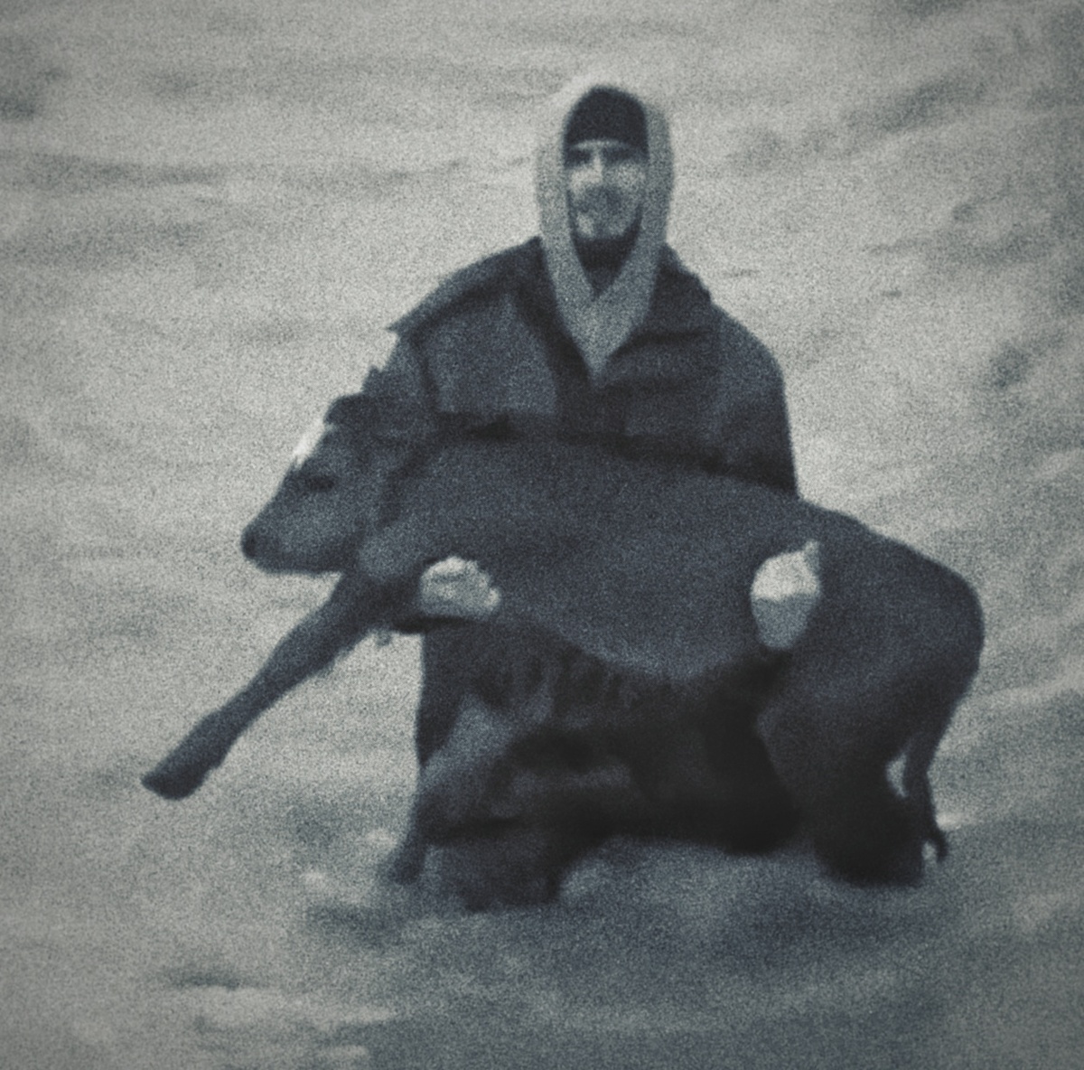 Взято с открытых источников.