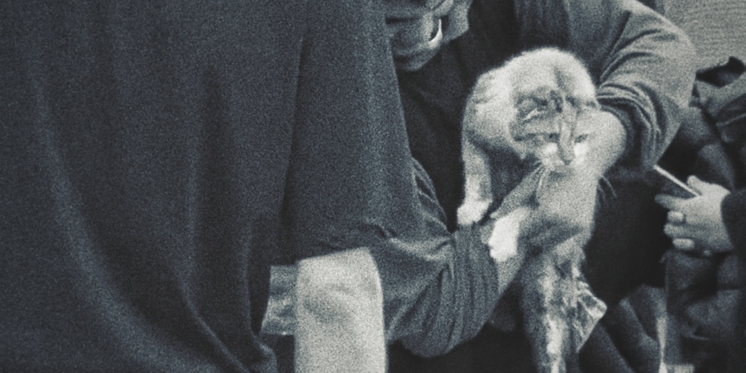 НАВОДНЕНИЯ: КАК ВСЯ СТРАНА ДРУЖНО СПАСАЕТ ДАГЕСТАН.