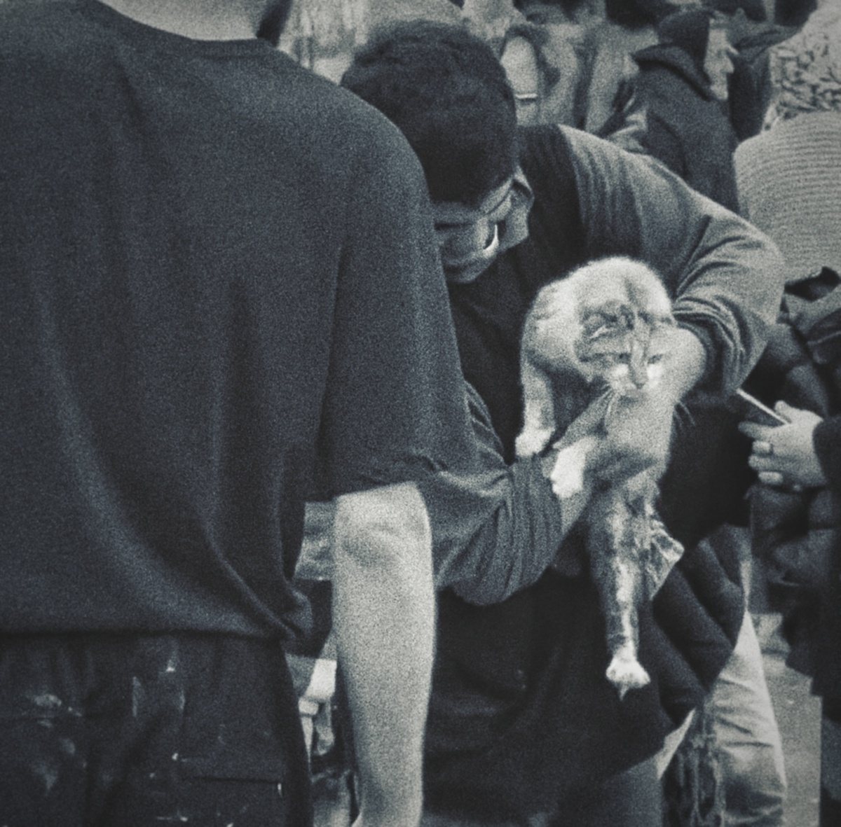 Взято с открытых источников.