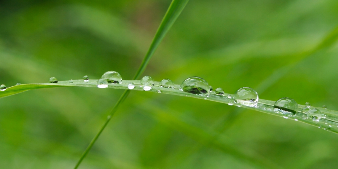 В 2026 году клещей будет больше, чем обычно