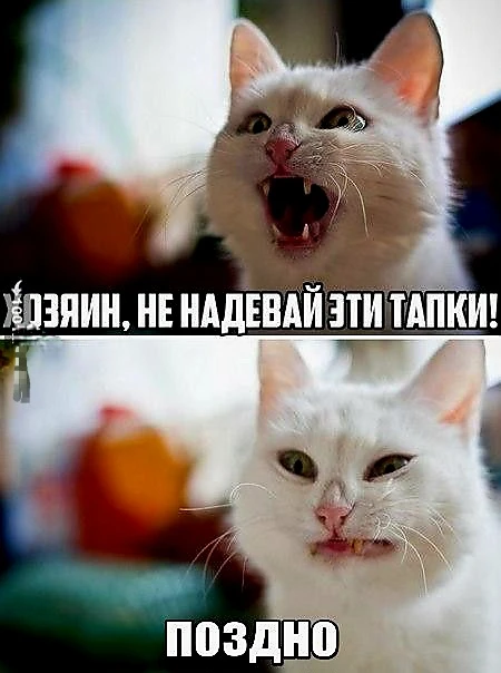 Источник фото найден на просторах Интернета в открытом доступе