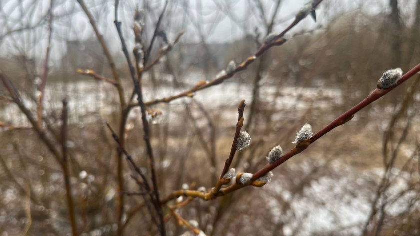    Фото из архива редакции