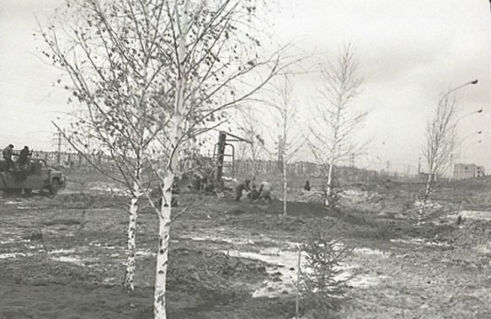    Барнаульский шинный комбинат. Всесоюзный коммунистический субботник. Посадка берез по ул. Космонавтов у шинного комбината. Апрель 1969 г.. Источник: goskatalog.ru, архив АГКМ, Малышев В.С.